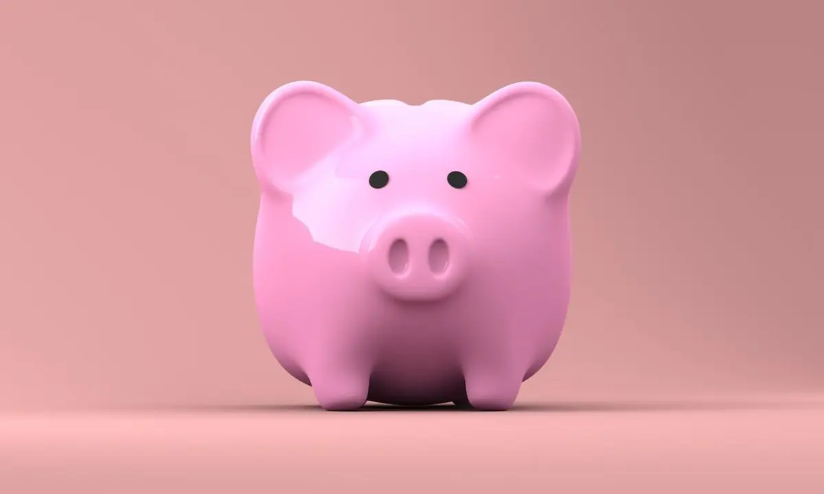 economiser