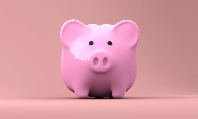 economiser