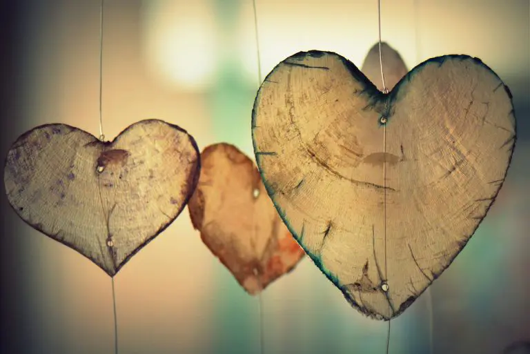 amour dans le couple