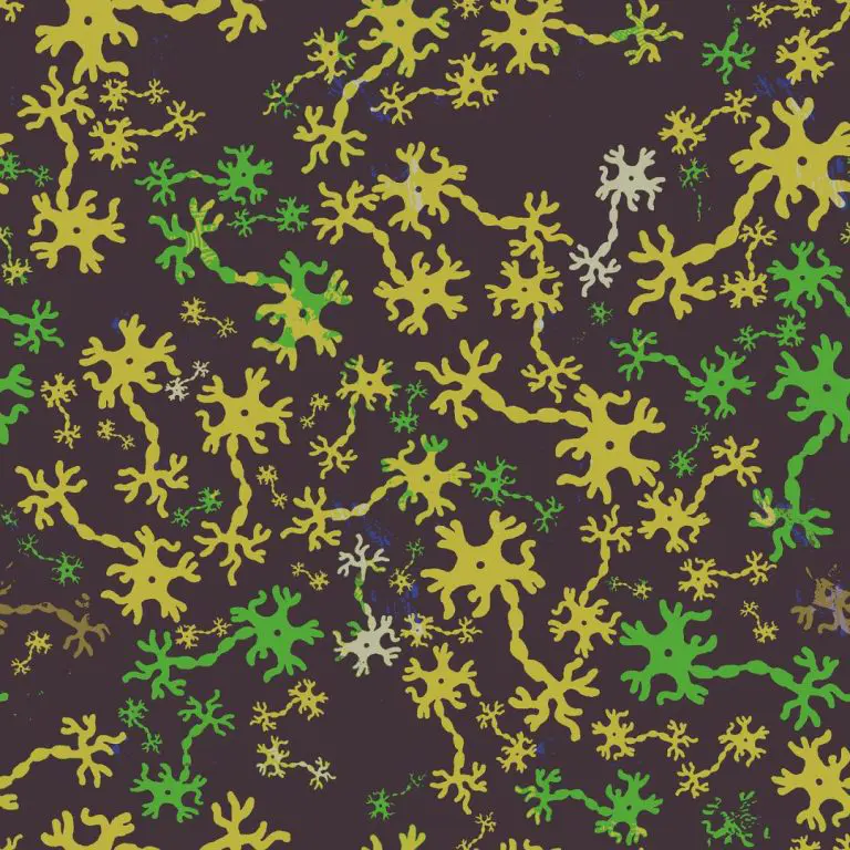 découvrez le concept de la neurodiversité, qui célèbre la richesse des différences neurologiques et encourage l'inclusion et la compréhension des divers modes de pensée et d'apprentissage. apprenez comment valoriser les talents uniques des individus neurodivergents et favoriser un environnement respectueux et épanouissant.