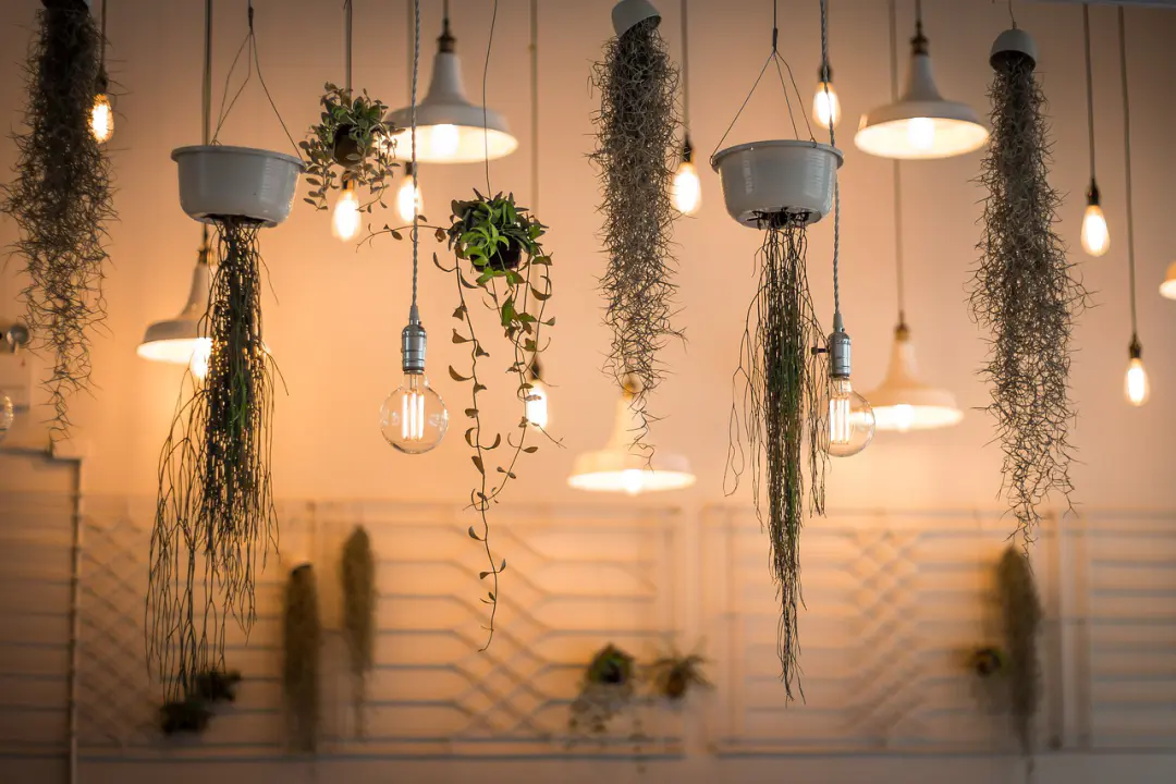 decoration