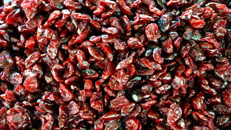 découvrez notre sélection de fruits secs, riches en saveurs et en nutriments. idéals pour vos collations, vos desserts ou comme ingrédient dans vos recettes, nos fruits séchés sont un véritable concentré de bienfaits pour la santé. savourez le meilleur de la nature avec nos produits 100% naturels.